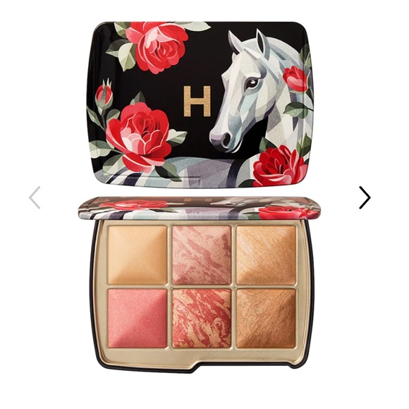 Hourglass Other - Hourglass Ambient Lighting Edit Unlocked Palette in Horse NWT